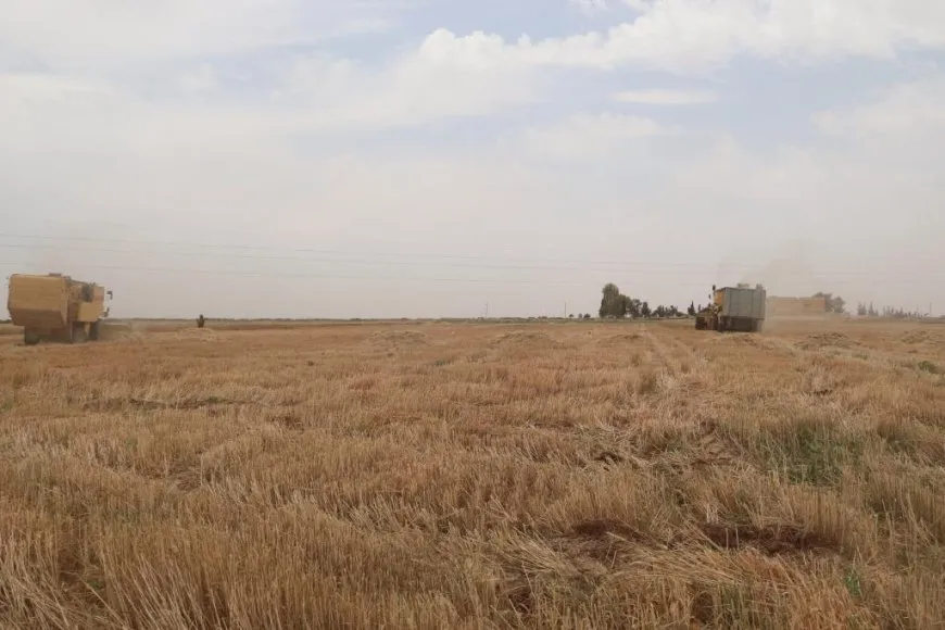 Embarên Reqayê 8 hezar ton genim wergirtiye