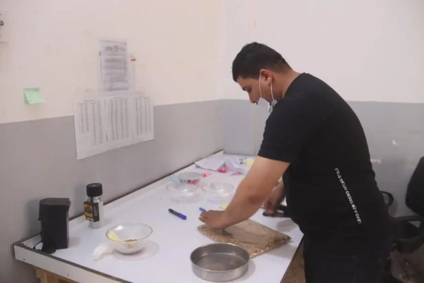 Embarên Reqayê 8 hezar ton genim wergirtiye