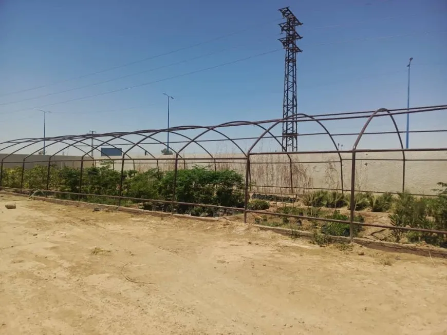 Desteya Jîngehê ya Dêrazorê plana xwe ya 2025’na danî