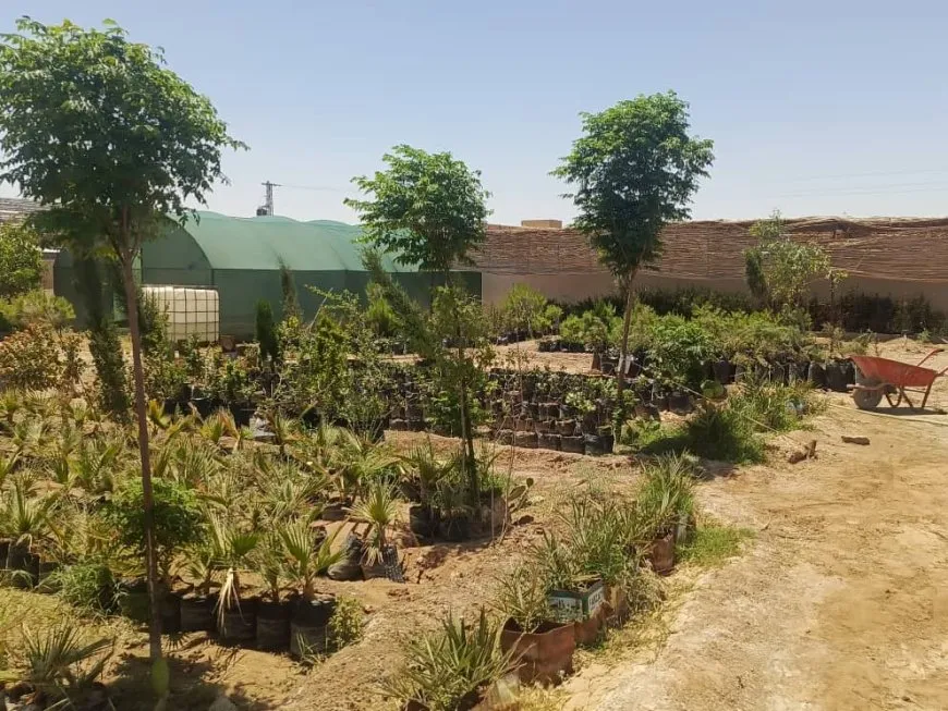 Desteya Jîngehê ya Dêrazorê plana xwe ya 2025’na danî