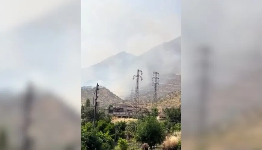 Ji ber êrişan 65 donim giya û dar li gundekî Amêdiyê şewitîn