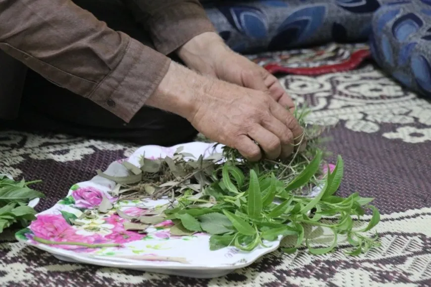 Ji Efrîn heta Tebqayê malbata Reşo dermankirina alternatîf dike