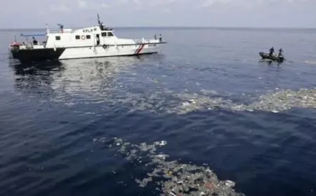 Li Endonezyayê ferîbotek binav bû: 4 kes mirin