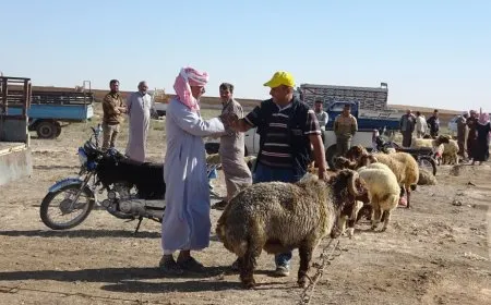 Bazara gel a Eyn Îsayê piştî 13 salan hat vekirin