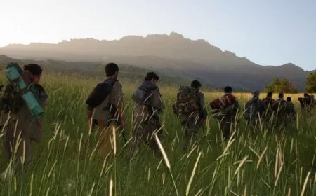 Ji bo rojnamevanên ku bixwazin pêngava dîrokî bişopînin navnîşan hate eşkerekirin