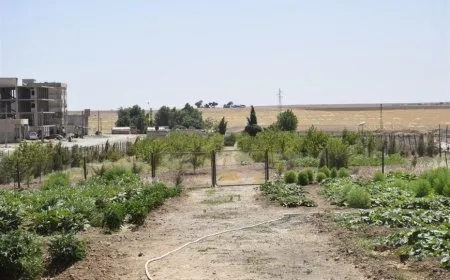 Li Dirbêsiyê projeyên domdar ên jîngehê