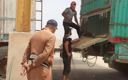 Li kantona Cizîrê 128 hezar ton genim hatiye wergirtin