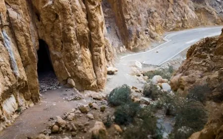 Merasîma dîrokî ya gerîla destpê kir