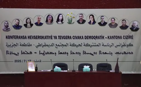 TEV-DEM'ê konferansek ji bo nirxandin û pêşxistina sîstema hevserokatiyê li dar xist