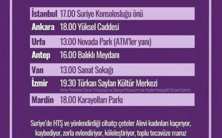 Li 7 bajaran dê revandina jinên Elewî were şermezarkirin