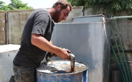 Belavkirina mazota çandiniyê li Reqayê didome