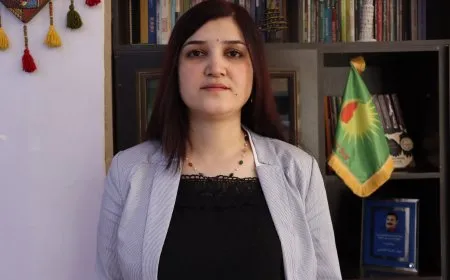 ’Sûcdarên li Peravê, heman sûcî li Siwêdayê dikin’