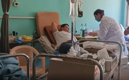 Birîndar û çalakvanan sûcên li Siwêdayê vegotin