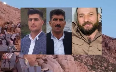 Hêzên dewleta Îranê kolberek kuşt