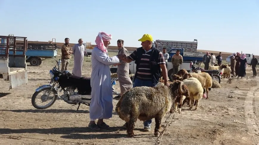Bazara gel a Eyn Îsayê piştî 13 salan hat vekirin