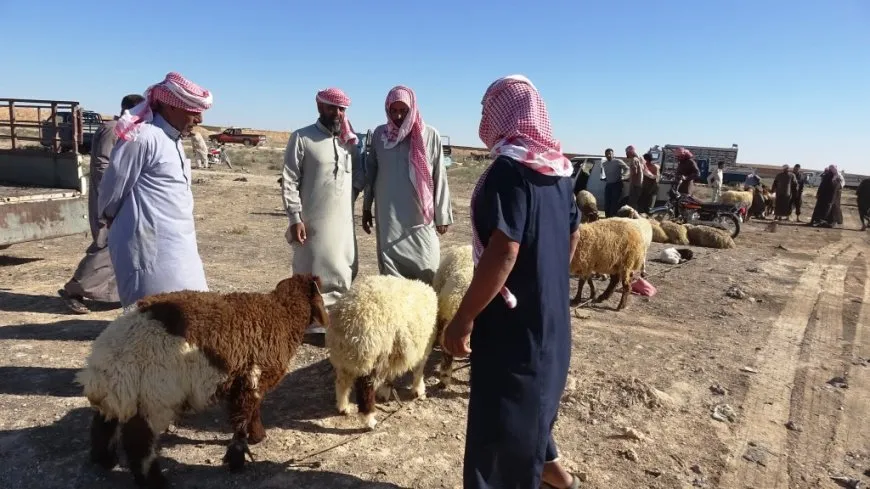Bazara gel a Eyn Îsayê piştî 13 salan hat vekirin