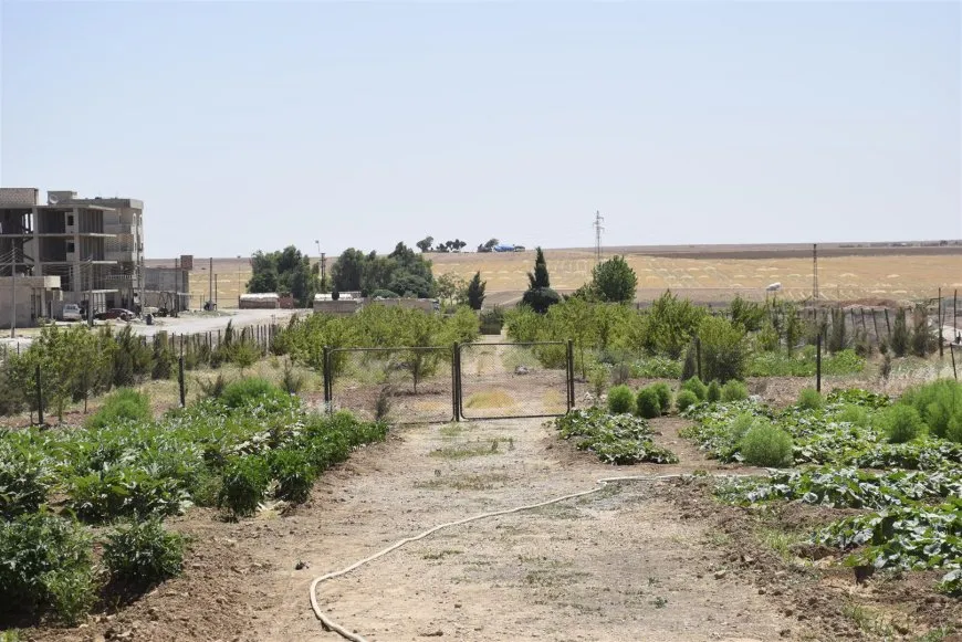 Li Dirbêsiyê projeyên domdar ên jîngehê
