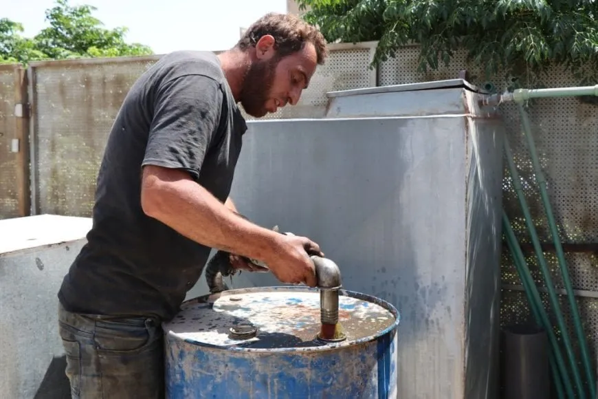 Belavkirina mazota çandiniyê li Reqayê didome