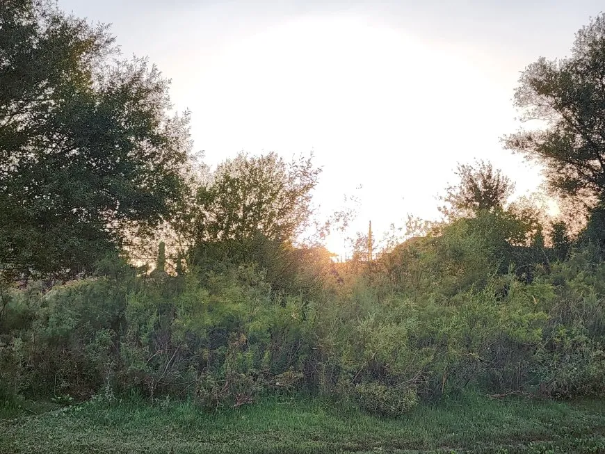 Di germahiya havînê de dîmenek nefesgirtinê