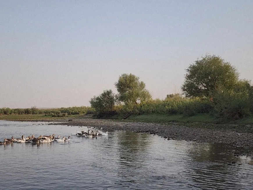 Di germahiya havînê de dîmenek nefesgirtinê