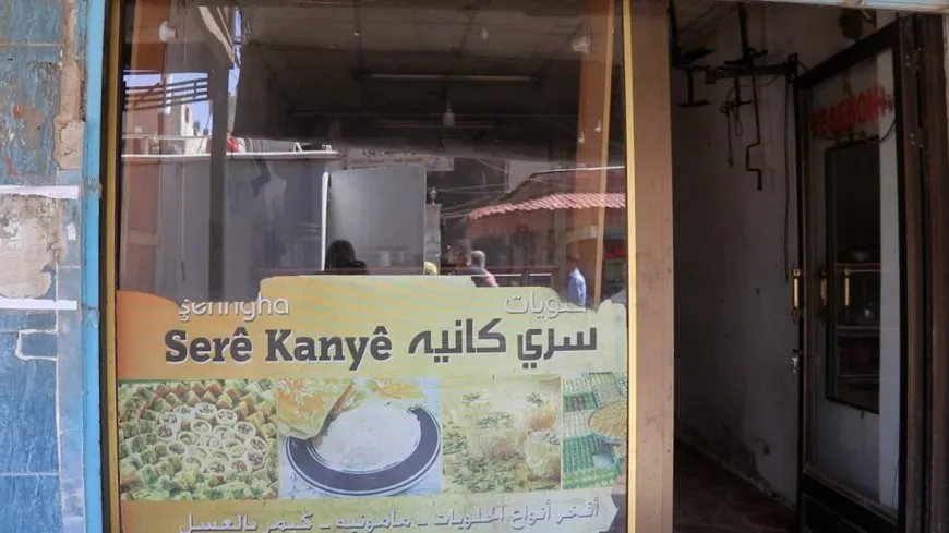 Li Amûdê şîraniya Serêkaniyê