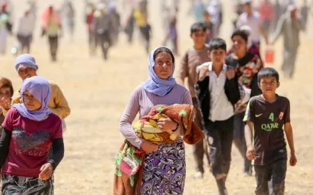 11 rêxistinan banga naskirina jenosîda Şengalê kir