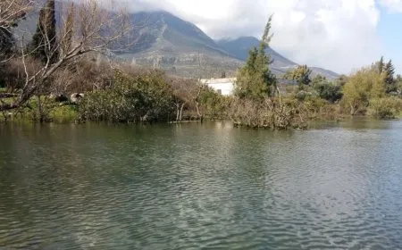 Li Hemayê mayîn teqiya: 2 masîvan  birîndar bûn