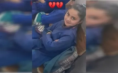 Hêzên hikumeta veguhêz zarokek qetil kir û 2 birayên wê birîndar kirin