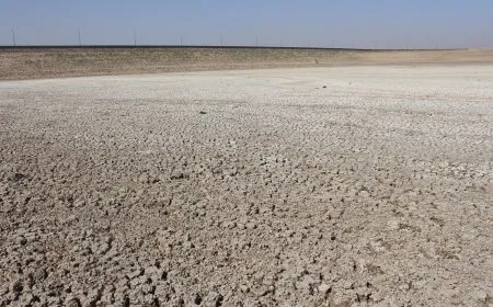 Ziwabûna Bendava Çilaxayê metirsiya li ser çandinî û jîngehê zêde dike