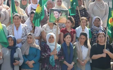 Biryara darvekirina Şerîfe Mihemedî hat şermezarkirin