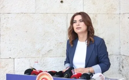 Gulistan Kiliç Koçyîgît: Divê Komîsyon bi Abdullah Ocalan re hevditinê  bike