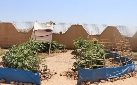 Koçberên Efrînî yên li Tebqayê derdora konên xwe dikin şînkahî