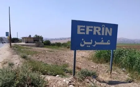 Li Efrîna dagirkirî çete bi hev ketin