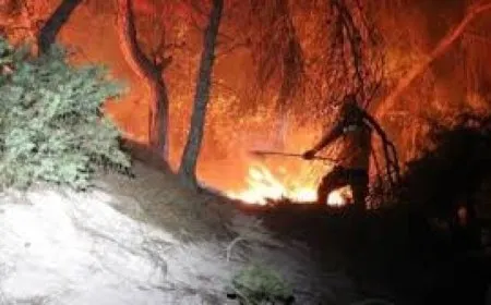 Şewata li gundewarê Hemayê ji malan ve nêz bûye