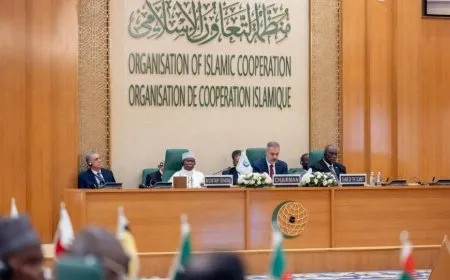 OIC’ê banga rawestandina şerê li Xezayê kir