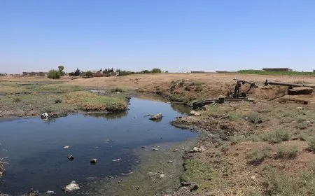 Avdana sebzeyan bi ava Ceqceqê ziyanê li mirovan û jîngehê dike