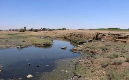 Avdana sebzeyan bi ava Ceqceqê ziyanê li mirovan û jîngehê dike