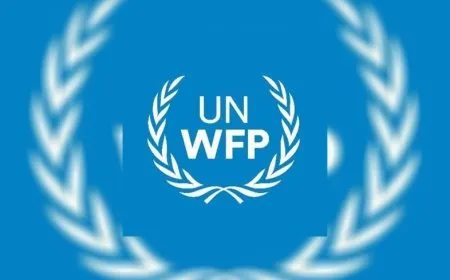 WFP dê alîkariyê bişîne Siwêdayê