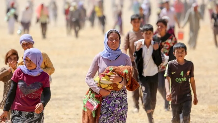 11 rêxistinan banga naskirina jenosîda Şengalê kir