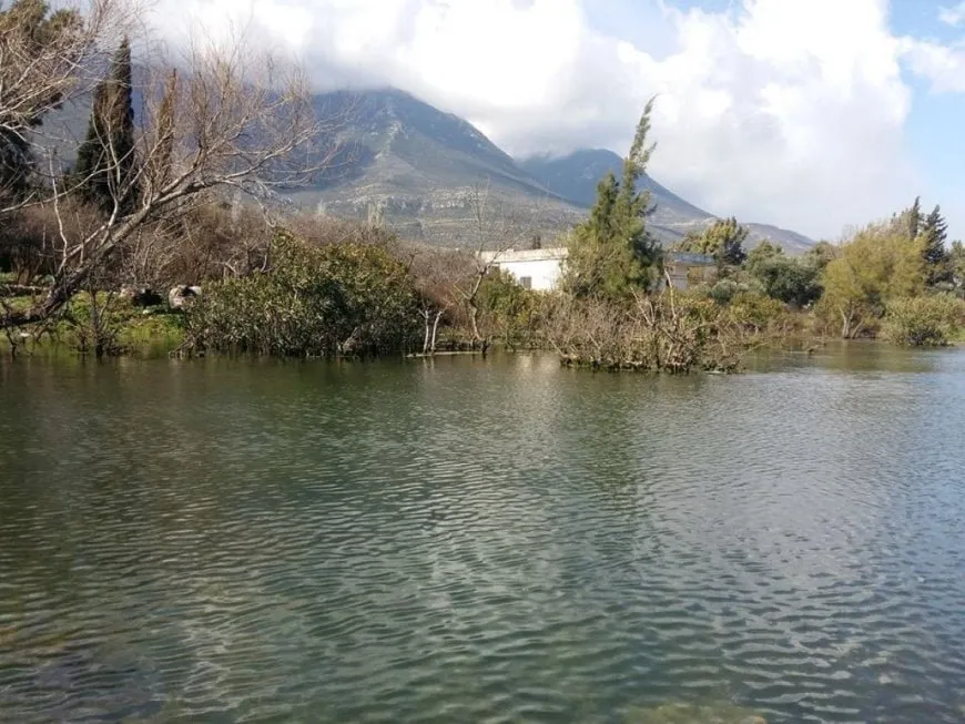Li Hemayê mayîn teqiya: 2 masîvan  birîndar bûn