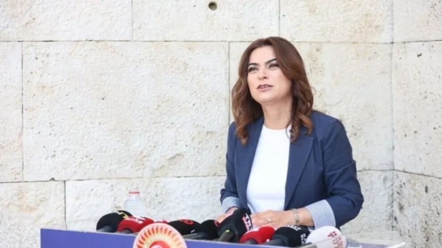 Gulistan Kiliç Koçyîgît: Divê Komîsyon bi Abdullah Ocalan re hevditinê  bike