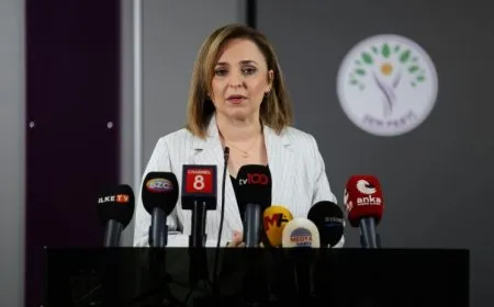 Ayşegul Dogan: Divê komîsyon Abdullah Ocalan re hevdîtin bike