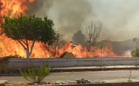 Li Qerdaha yê Laziqiyê şewatek mezin derketiye