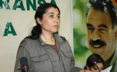 Evîndar Ararat: Dewleta Tirk bi cidî nêzî pêvajoyê nabe