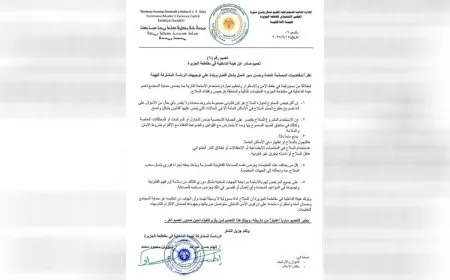  Desteya Hundirîn têkildarî hilgirtin û bikaranîna çekan giştînameyek weşand