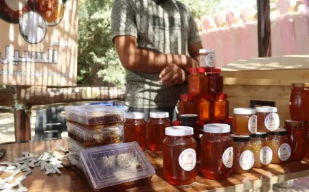 Festîvala Hingiv a 2’yemîn hat lidarxistin