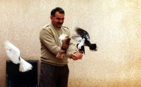‘Felsefeya Rêber Apo jêdera aştiyê û hêza jinan e’