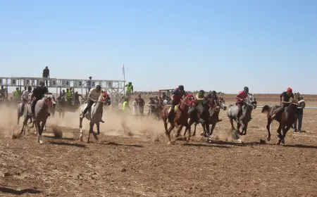 Pêşbirka Hespên Esîl a 2'yemîn li dar ket