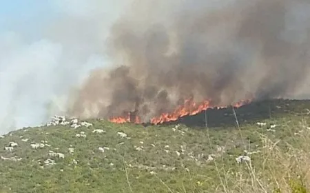 Li perava Sûriyeyê dîsa şewat derket