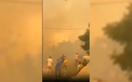 Agir bi daristana geliyê El Nasara ketiye